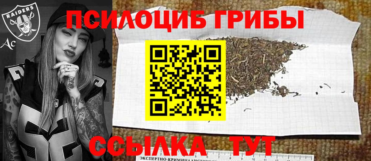 Псилоцибиновые грибы MAGIC MUSHROOMS  Вход с VPN  Вязьма 